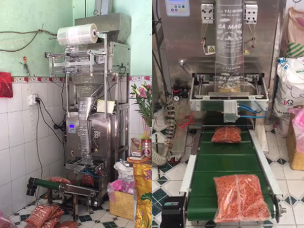 Dự án máy đóng gói tự động ruốc sấy 500 gram/gói khách hàng TPHCM