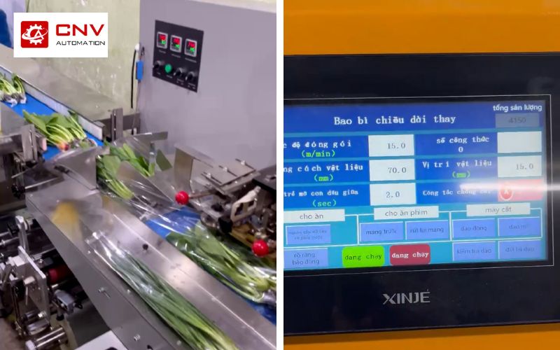 Máy đóng gói rau quận 12