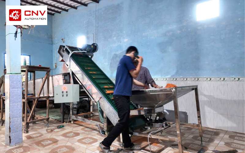Hình ảnh vận hành băng tải cấp liệu