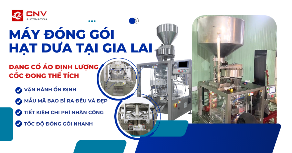 may dong goi hat dua