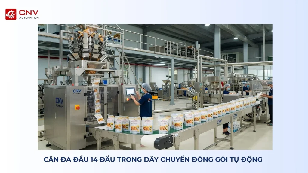 case study dây chuyền đóng gói
