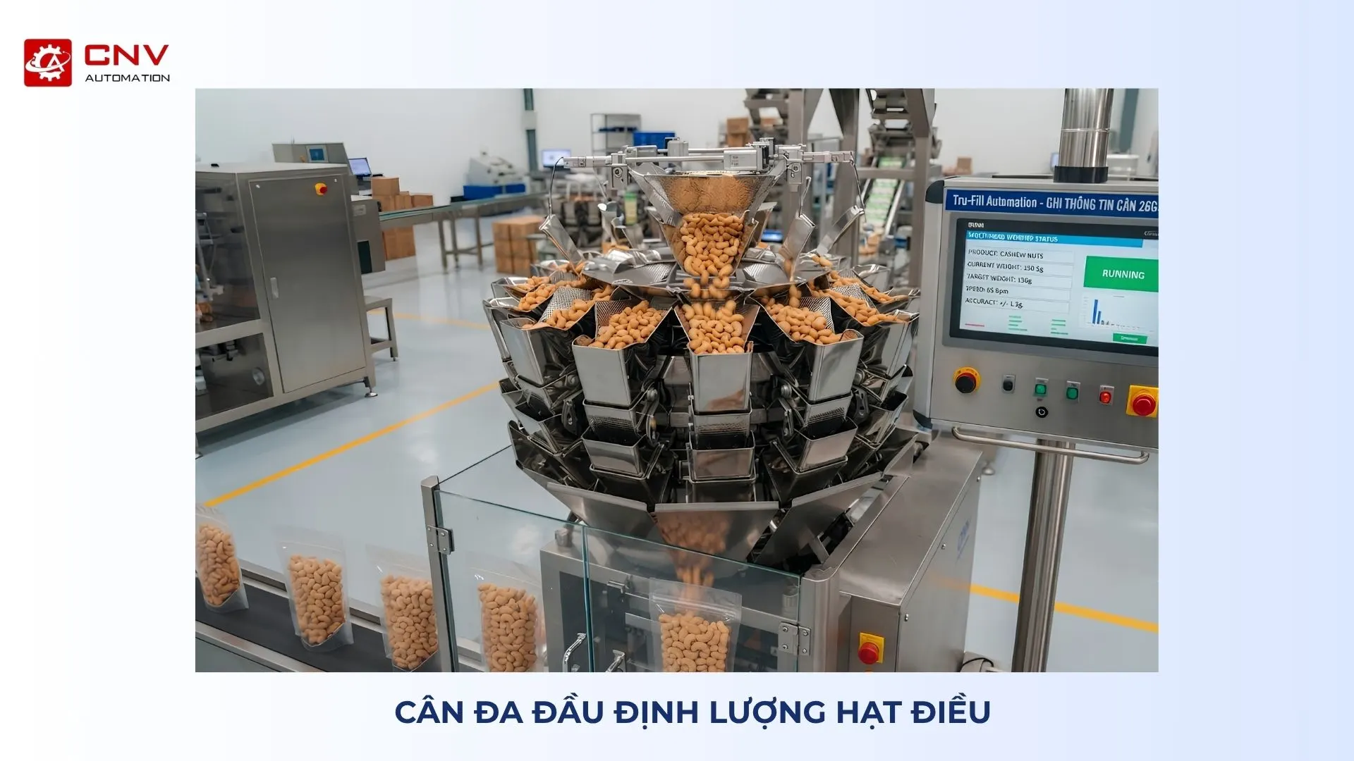 Cân đa đầu định lượng hạt điều trong dây chuyền đóng gói nông sản tự động của CNV Automation dây chuyền đóng gói nông sản