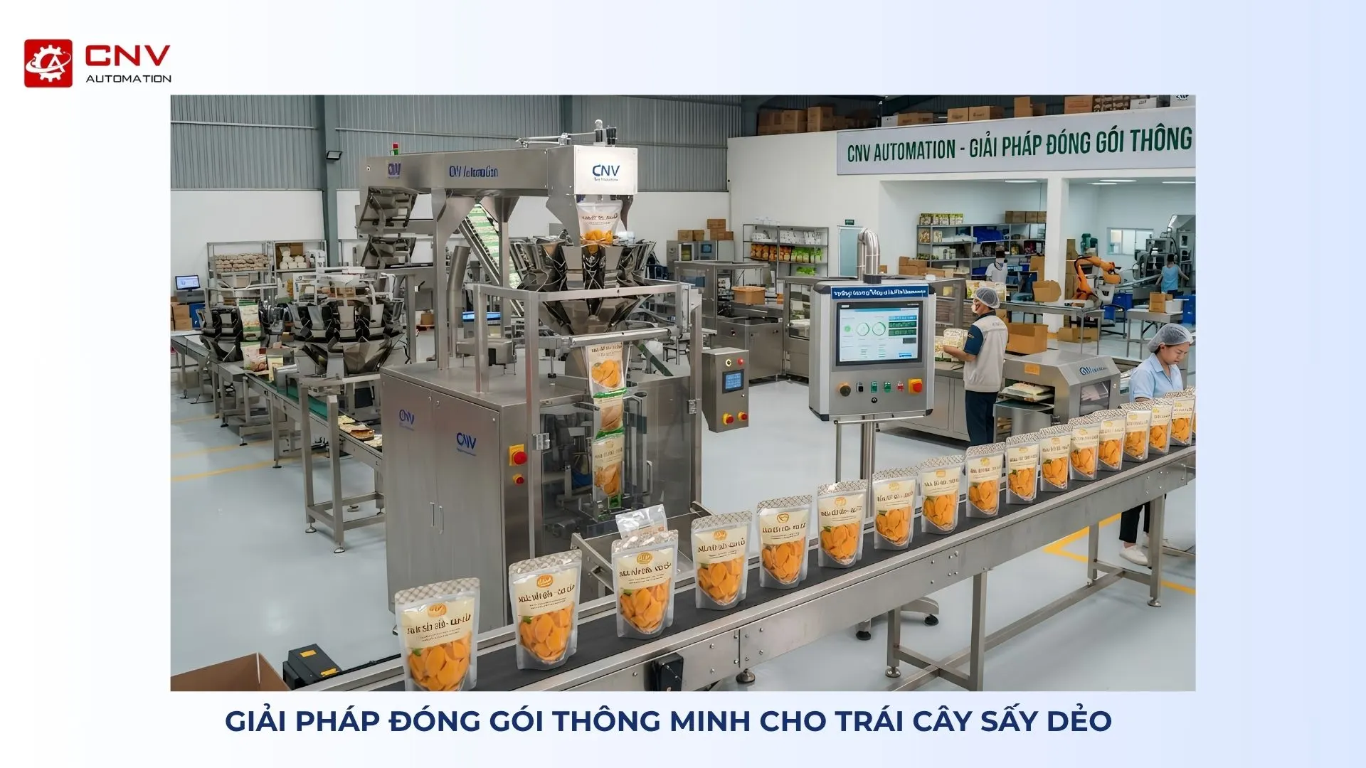 Giải pháp đóng gói thông minh cho trái cây sấy dẻo – chống dính, định lượng chính xác giải pháp đóng gói thông minh