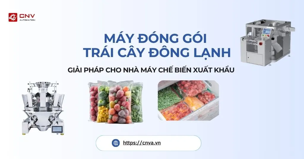 Máy đóng gói trái cây đông lạnh
