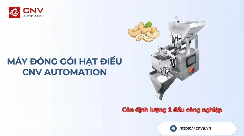 Máy đóng gói hạt điều